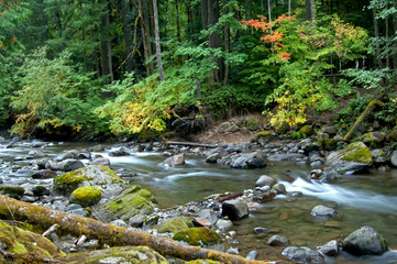 Early Fall Colors on Wilderness Creek.   