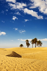 Tunisia. Somewhere on desert near Douz...