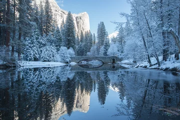 Muurstickers winter reflection of the trees in yosemite national park © tharathepptl