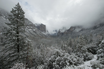 misty tunnel view yosemite national park