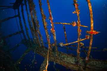 Glassboat wreck
