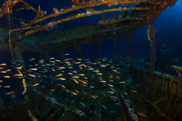 Boat underwater