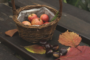 autumn goods