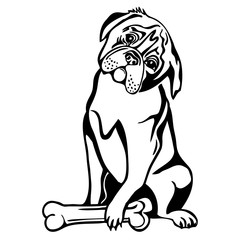 sitting dog and bone