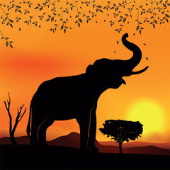 African landscape with elephant and tree