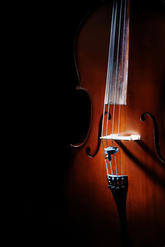 Cello isolated on black