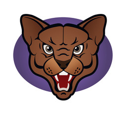 Cougar / A frontal view of a mean cougar