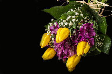 Spring flowers - yellow tulip and purple alstroemeria (Peruvian lily or lily of the Incas) - black background