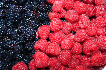 blackberry and raspberry