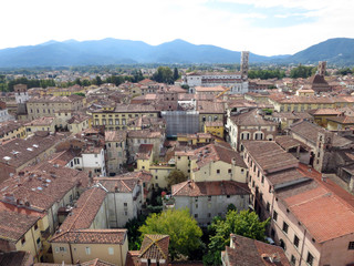 Fototapeta na wymiar Blick vom Torre Guinigi über Lucca
