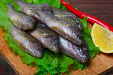 raw redfish ruff fish on the kitchen table with vegetables and lemon