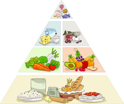 Food Pyramid Examples
