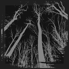 Obraz premium Spooky grunge forest illustration for halloween