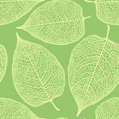 leaf skeleton pattern