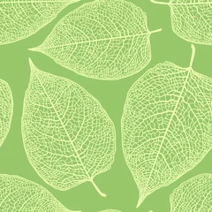 Foto op Plexiglas Bladnerven blad skelet patroon