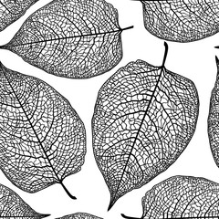 leaf skeleton pattern