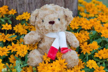 teddy bear in flower garden