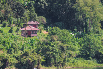 Fototapeta na wymiar Two cottage in green forest.