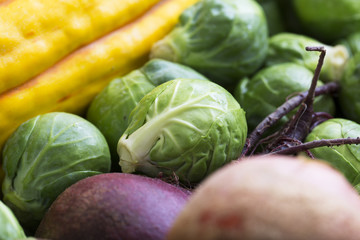 Winter Brussels Sprout