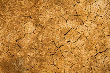 Cracked mud