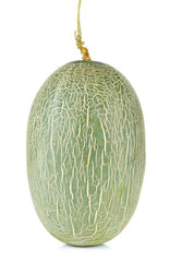 cantaloupe melon isolated on the white background