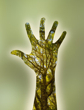 Double exposure image of hand and forest