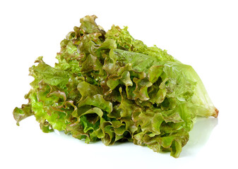 Lettuce isolated on the white background