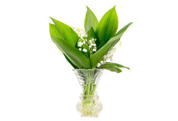 Bouquet of lily of the valley in a vase