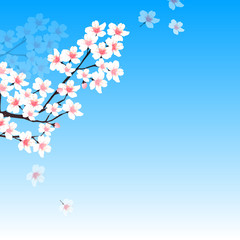 桜　春　花　背景