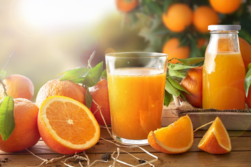 Glass of orange juice on a wooden in field - obrazy, fototapety, plakaty