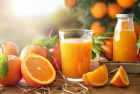 Glass of orange juice on a wooden in field