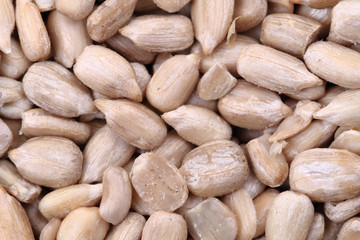 healthy sunflower seed as food background