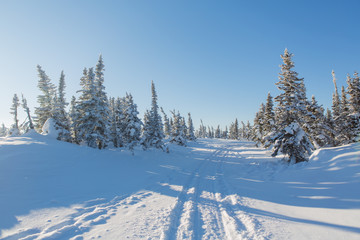 Fototapeta na wymiar Beautiful winter landscape.