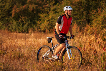 Naklejka premium Rider on Mountain Bicycle it the forest