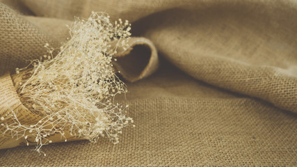 Dried flowers on canvas.