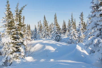Beautiful winter landscape.