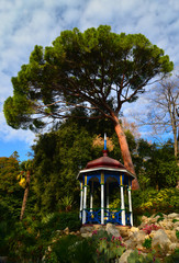 Gazebo in woods