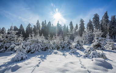 Fototapeta na wymiar Winterlandschaft auf dem Feldberg
