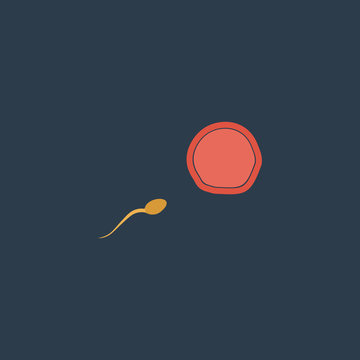 Flat Icon of egg and spermatozoon