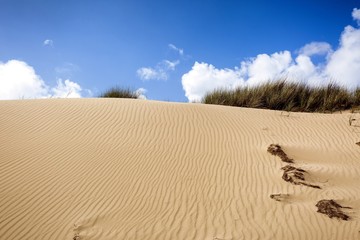 Sylt View on dune