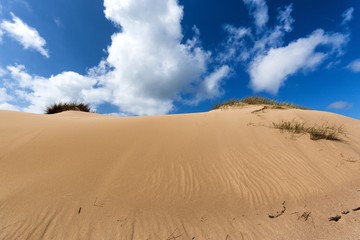 Fototapeta na wymiar Marvelous Sky above Sylt Dune