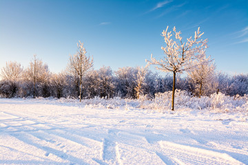 Winter in Thüringen