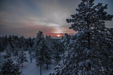 Beautiful sunset in the Rovaniemi Forest of Lapland