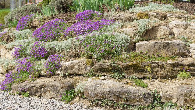 Garten im Frühling