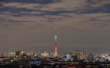 Obraz na płótnie Canvas Tokyo city view and Tokyo sky tree