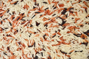 Food background with three rows of rice varieties : brown rice, mixed wild rice, white rice.