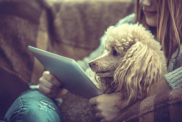 Young girl  is resting with a dog on the armchair at home and using tablet .