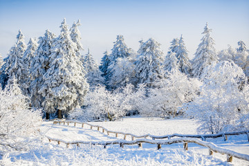 Winterlandschaft auf dem Feldberg