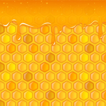 Vector Background with Honeycombs and Honey, sweet