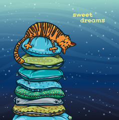 Sweet dreams - sleeping cat and pillows on a night starry sky.
